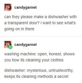 Why Aren'T Dishwasher Doors Transparent