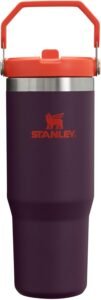 Stanley Leak Resistant  Stainless Steel Water Bottle